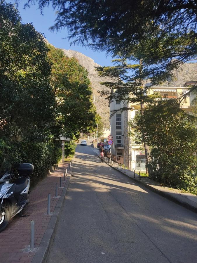 Apartment Oaza Kotor Exteriör bild
